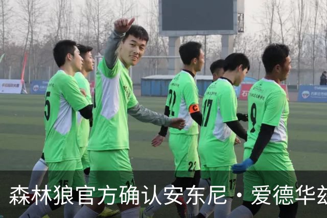 森林狼官方确认安东尼·爱德华兹成功接受右膝手术
